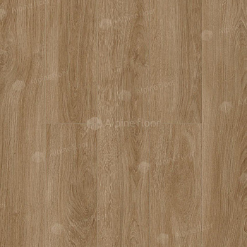 Ламинат "Camsan" Дуб Шервуд (1380*142,5*10 мм) — фото и характеристики